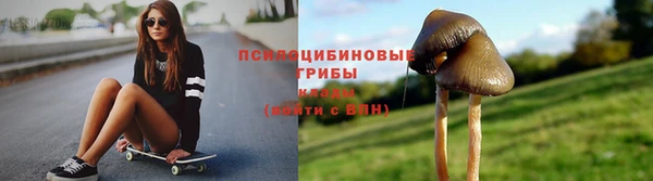 ALPHA PVP Алзамай